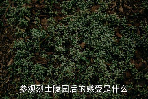 參觀烈士陵園后的感受是什么