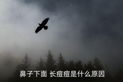  鼻子下面 長痘痘是什么原因