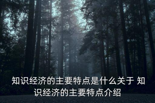  知識經濟的主要特點是什么關于 知識經濟的主要特點介紹