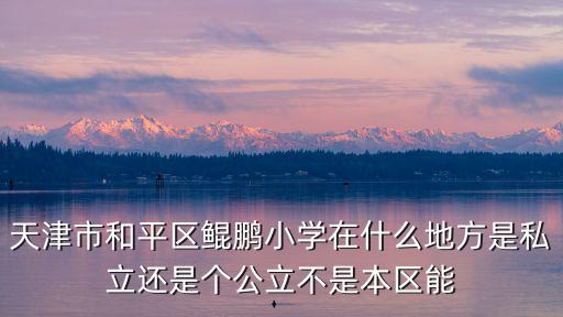 天津市和平區(qū)鯤鵬小學(xué)在什么地方是私立還是個(gè)公立不是本區(qū)能