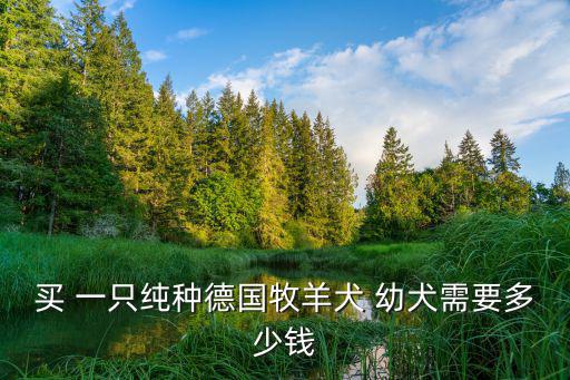 買 一只純種德國牧羊犬 幼犬需要多少錢