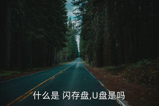 什么是 閃存盤,U盤是嗎