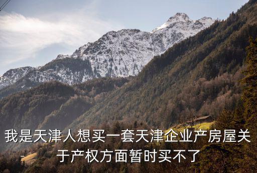 我是天津人想買(mǎi)一套天津企業(yè)產(chǎn)房屋關(guān)于產(chǎn)權(quán)方面暫時(shí)買(mǎi)不了