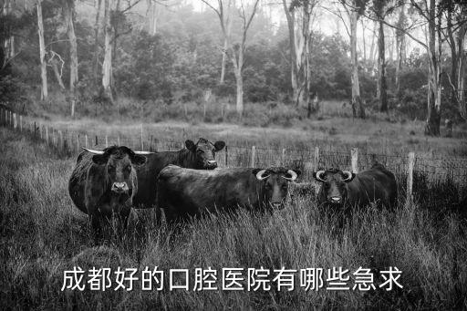 成都好的口腔醫院有哪些急求