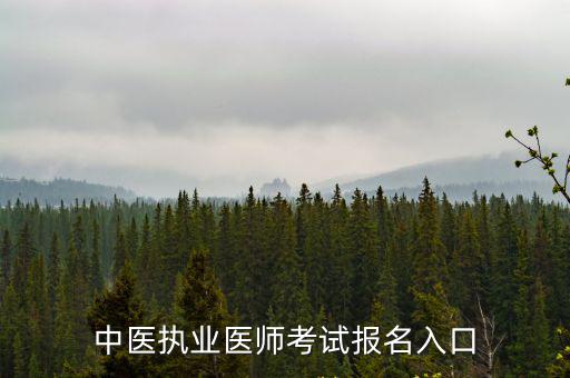 中醫(yī)執(zhí)業(yè)醫(yī)師考試報(bào)名入口
