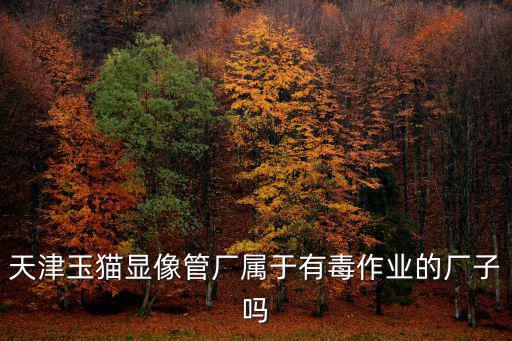 天津玉貓顯像管廠屬于有毒作業(yè)的廠子嗎