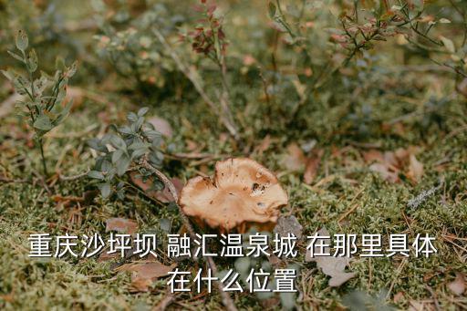 重慶市匯融，重慶融匯溫泉有客房嗎