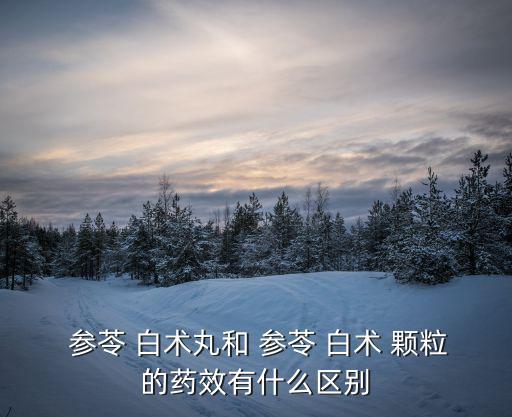 參苓白術(shù)顆粒,藿香正氣水和參苓白術(shù)顆粒功效和成分完全一樣