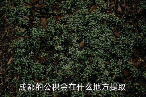 成都的公積金在什么地方提取