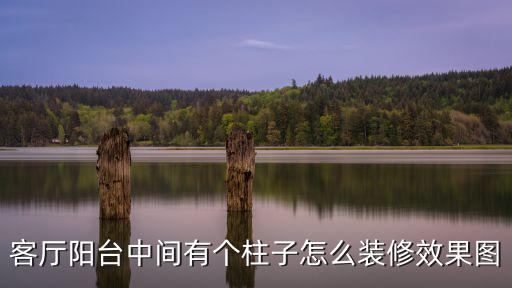 客廳陽臺中間有個柱子怎么裝修效果圖
