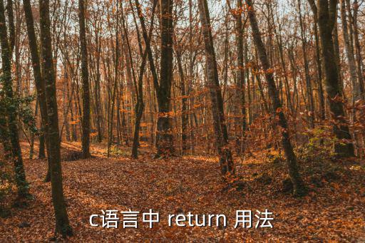 return用法,程序結束前添加return語句不會再執行