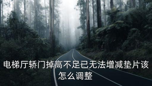 電梯廳轎門掉高不足已無法增減墊片該怎么調整