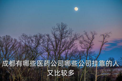 成都有哪些醫(yī)藥公司哪些公司掛靠的人又比較多
