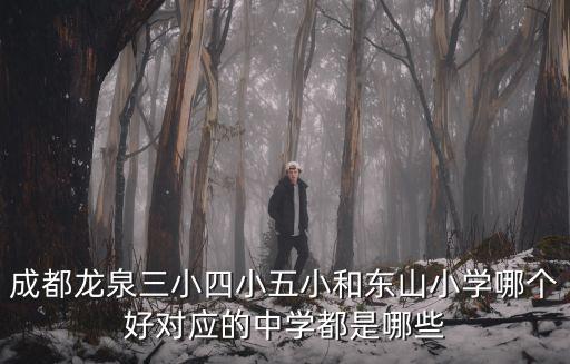 龍泉十小成都市排名，成都排名前十的小學有哪些