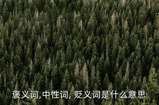 褒義詞,中性詞, 貶義詞是什么意思