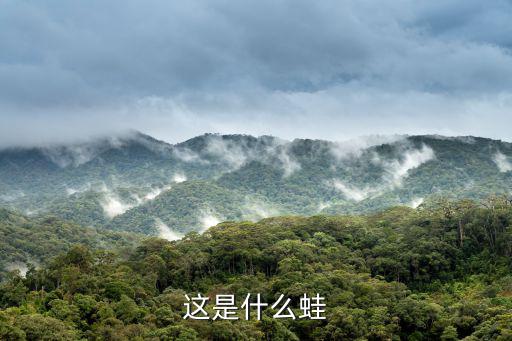 這是什么蛙