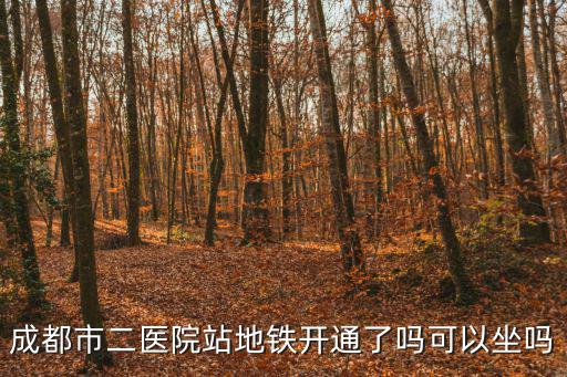 成都市二醫院地鐵E口，成都市二醫院站地鐵開通了嗎可以坐嗎
