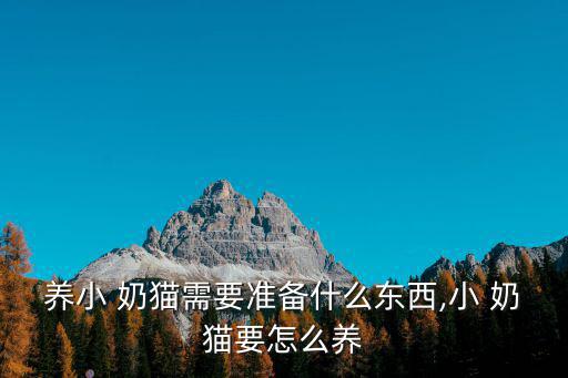 養(yǎng)小 奶貓需要準(zhǔn)備什么東西,小 奶貓要怎么養(yǎng)