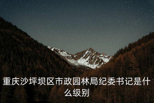 重慶市紀委監委副組長是什么職位，重慶市南川區衛生局紀檢組長是什么級別