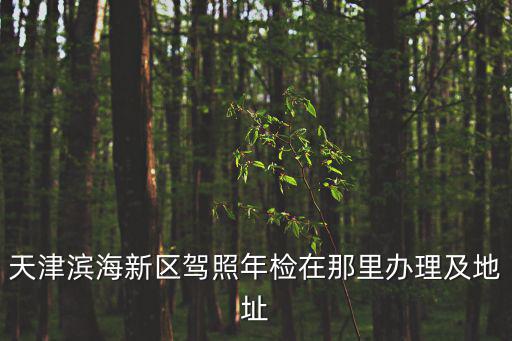 天津?yàn)I海新區(qū)駕照年檢在那里辦理及地址