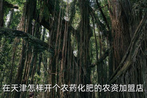 在天津怎樣開個農藥化肥的農資加盟店