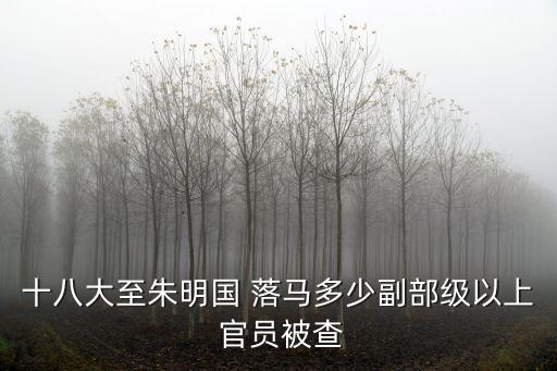十八大至朱明國 落馬多少副部級以上 官員被查
