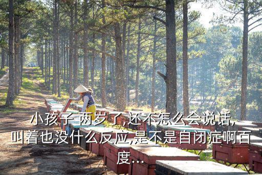 兩歲小孩,兩歲寶寶不會說話需要多少陪伴?