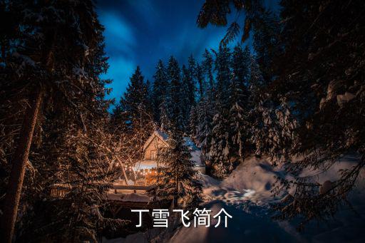 丁雪飛簡介