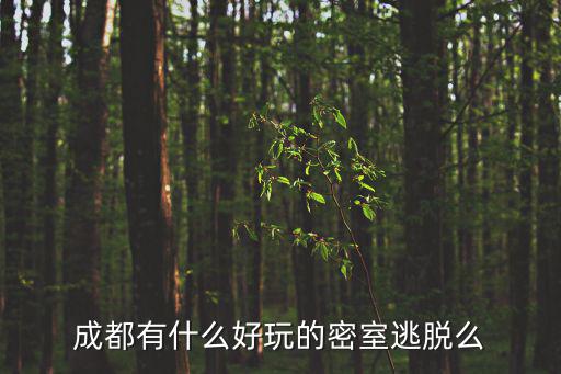 成都有什么好玩的密室逃脫么