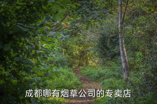 成都哪有煙草公司的專賣店
