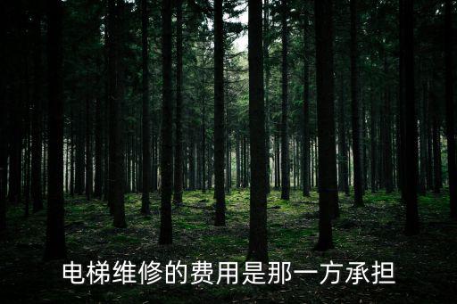 電梯維修的費用是那一方承擔(dān)