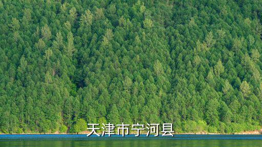 天津市寧河區干部任免，天津市管干部的任命公式嗎