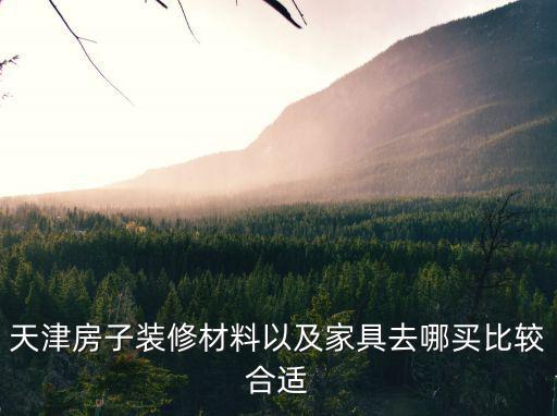 天津房子裝修材料以及家具去哪買比較合適