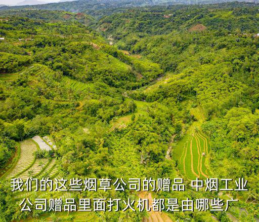 我們的這些煙草公司的贈(zèng)品 中煙工業(yè)公司贈(zèng)品里面打火機(jī)都是由哪些廣