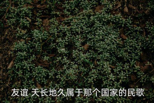 友誼天長地久,中國網民創作短歌謠情長地久