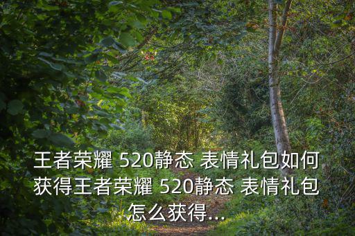 王者榮耀 520靜態(tài) 表情禮包如何獲得王者榮耀 520靜態(tài) 表情禮包怎么獲得...