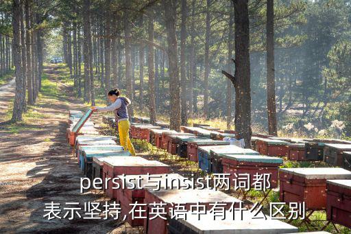 persist與insist兩詞都表示堅持,在英語中有什么區別