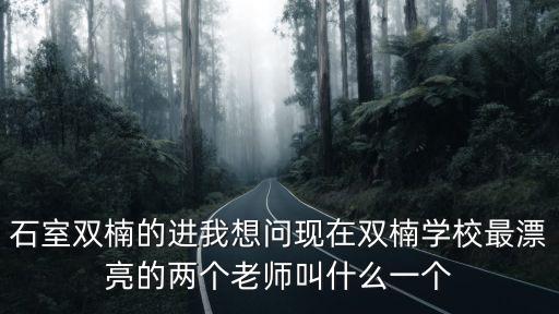石室雙楠的進我想問現在雙楠學校最漂亮的兩個老師叫什么一個