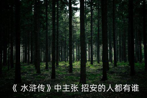 水滸傳招安,宋江接受招安改橫幅為曬天護國以策安撫梁山義軍