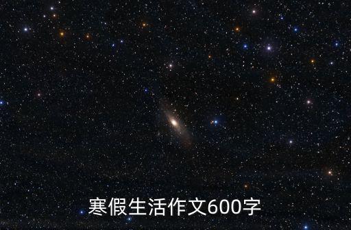 寒假生活作文600字