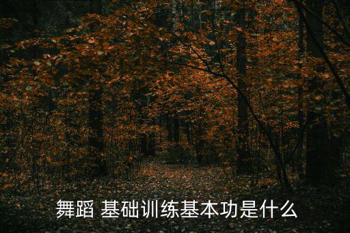  舞蹈 基礎訓練基本功是什么