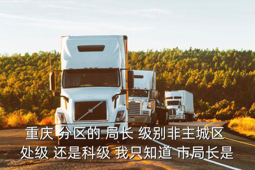 重慶 分區的 局長 級別非主城區 處級 還是科級 我只知道 市局長是