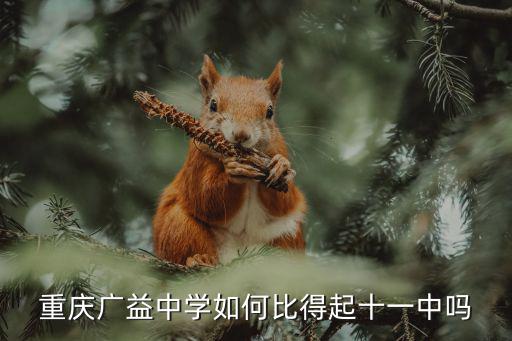 重慶廣益中學如何比得起十一中嗎