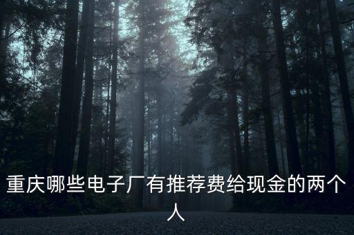 重慶哪些電子廠有推薦費給現(xiàn)金的兩個人