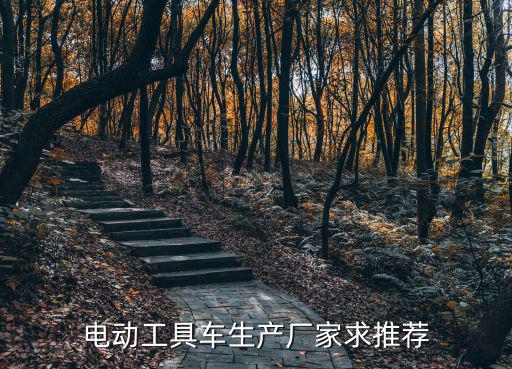 電動(dòng)工具車生產(chǎn)廠家求推薦