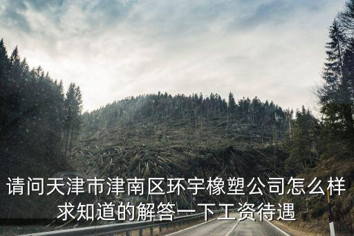 請問天津市津南區環宇橡塑公司怎么樣求知道的解答一下工資待遇