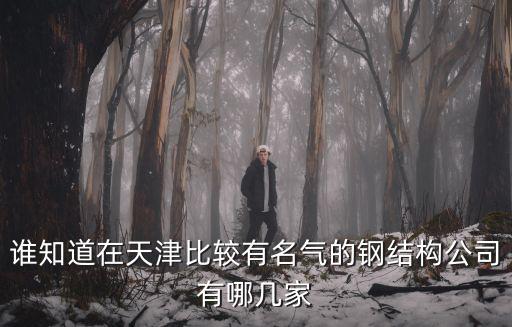 誰知道在天津比較有名氣的鋼結構公司有哪幾家