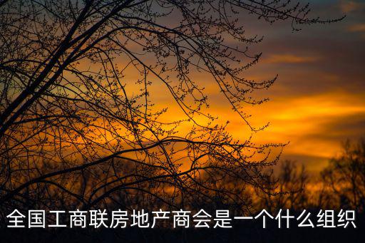 全國工商聯房地產商會是一個什么組織