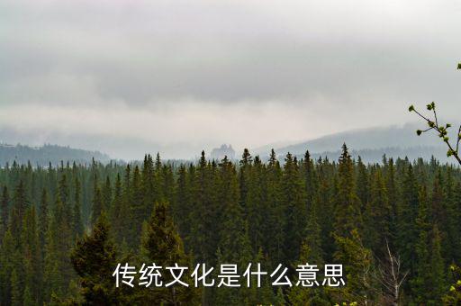 傳統(tǒng)文化是什么意思