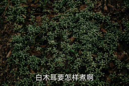 白木耳要怎樣煮啊